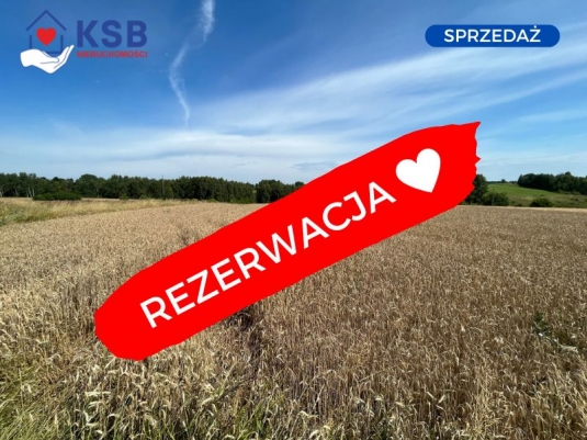 Duża działka rolna w przepięknej okolicy, blisko miasta pod pole lub sad - 12500m2